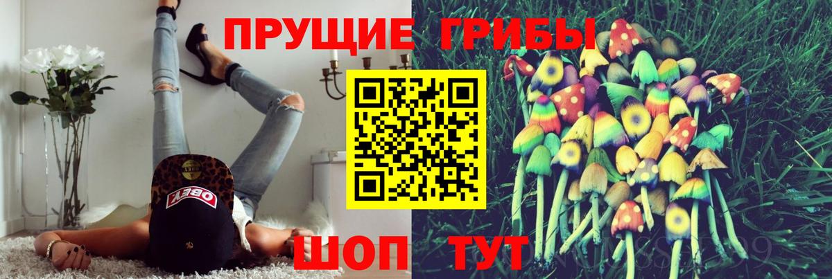 Вышний Волочёк  Псилоцибиновые грибы Psilocybine cubensis  Вход с VPN  Галлюциногенные грибы мицелий 